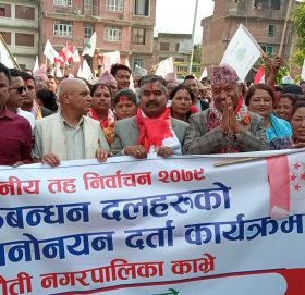 पनौती नगर प्रमुखमा ११ को दाबी