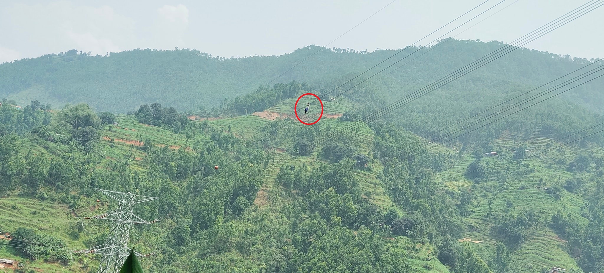 प्रशारण लाइनमा झुन्डिएका माइलाको उद्धार गर्न ककनी उड्यो सेनाको हेलिकप्टर