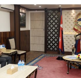 रवि लामिछानेले भेटे प्रधानमन्त्री प्रचण्डलाई