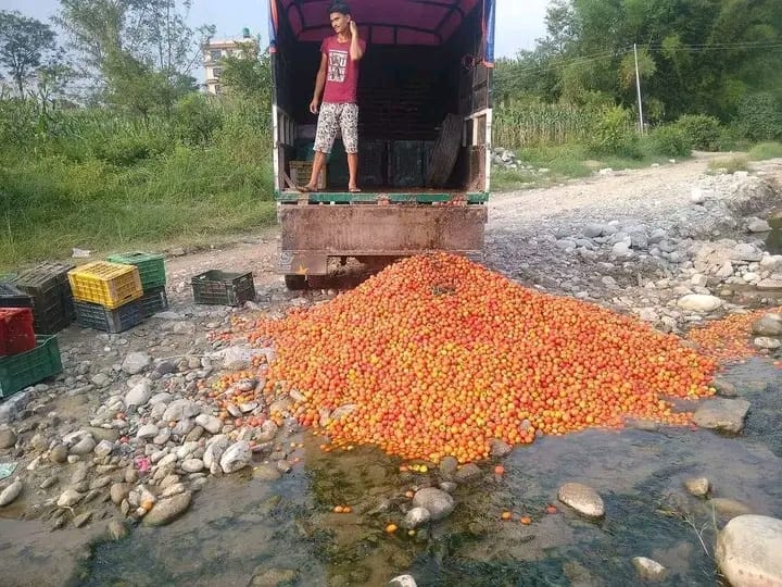 काभ्रेमा गोलभेंडा २ रुपैयाँमा एक झोला, ब्यापारीले फ्याले झिकु खोलामा