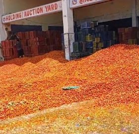 किसान र व्यापारीले फाले गोलभेँडा