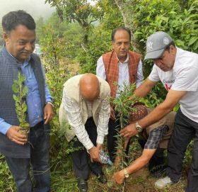 वी. पी स्मृती दिवसमा नेपाली कांग्रेस काभ्रेले गर्यो वृक्षारोपण