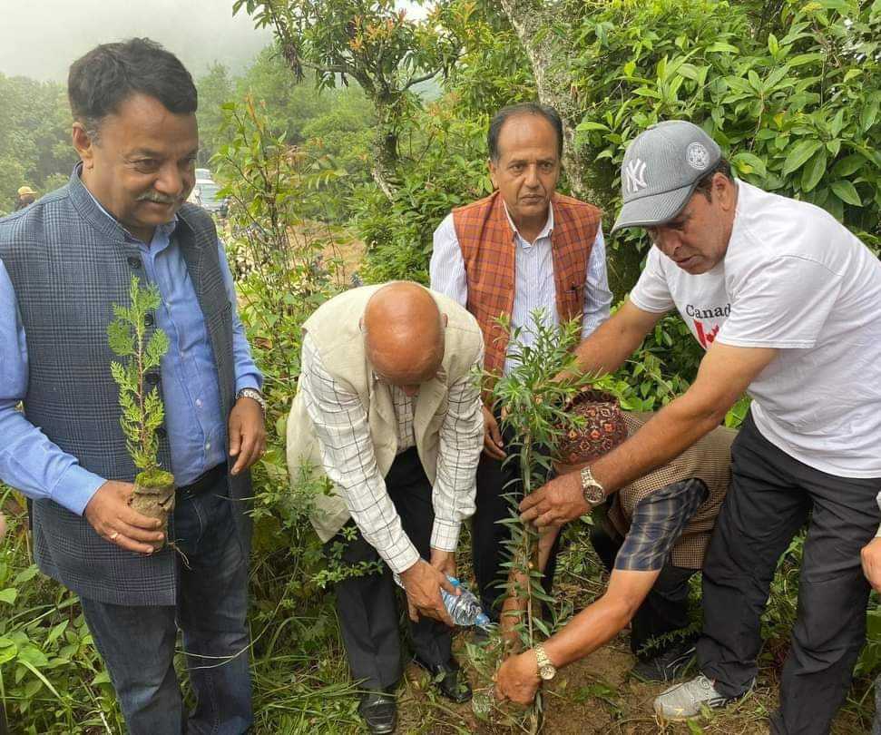 वी. पी स्मृती दिवसमा नेपाली कांग्रेस काभ्रेले गर्यो वृक्षारोपण