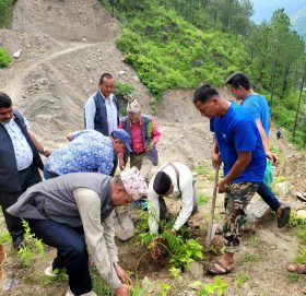 वी. पी स्मृती दिवसमा नमोबुद्धमा वृक्षारोपण