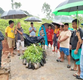 अतिक्रमीत ७४ रोपनी जग्गामा बन कार्यलयले गर्यो बृक्षारोपण अभियान सुरु