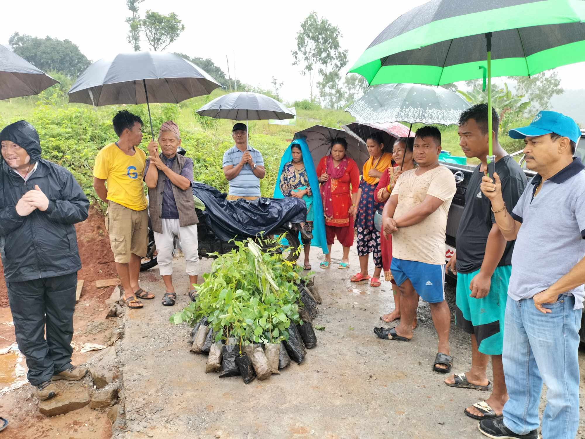 अतिक्रमीत ७४ रोपनी जग्गामा बन कार्यलयले गर्यो बृक्षारोपण अभियान सुरु