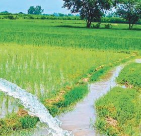 काभ्रेमा यो वर्ष सिँचाइका तीन सय ७७ योजना