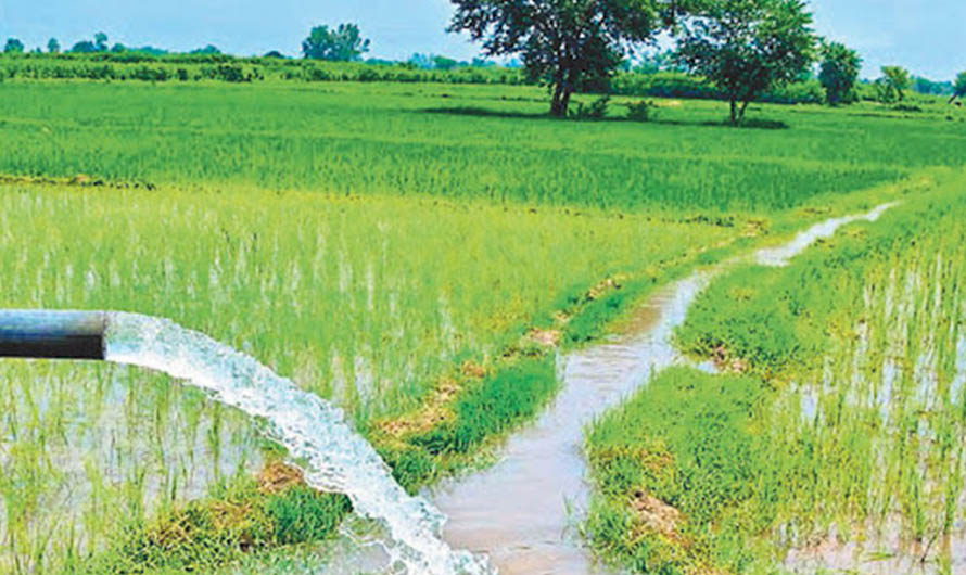 काभ्रेमा यो वर्ष सिँचाइका तीन सय ७७ योजना