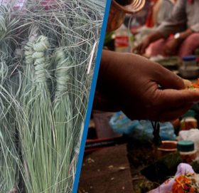 आज कुशे औँसी, बुबाको मुख हेर्ने दिन