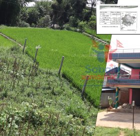 काभ्रेको २४४ हेक्टर वन माफियाको कब्जामा