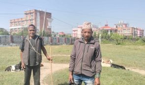 आर्थिक मन्दीको मार खसीबोकामा पनि, किनबेच घट्यो