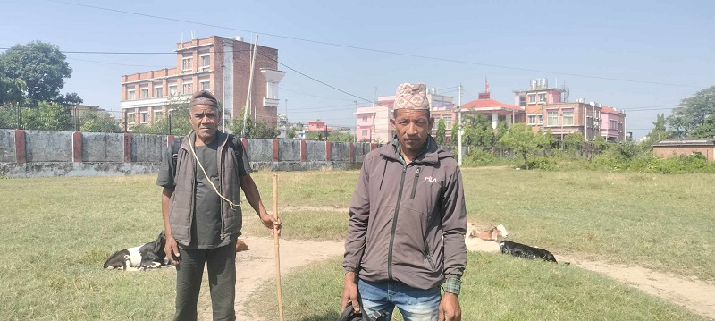 आर्थिक मन्दीको मार खसीबोकामा पनि, किनबेच घट्यो