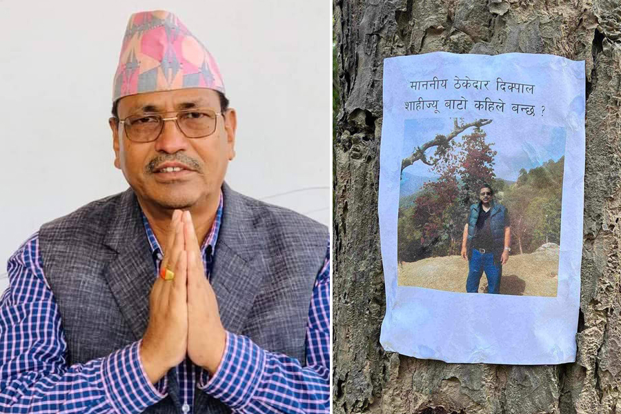 सडकको काम सम्पन्न नभएपछि सांसदको तस्वीर रुखमा टाँसियो