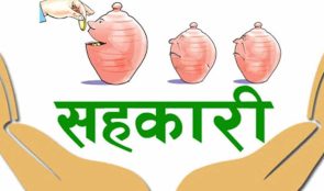 काभ्रेमा ८ सय ४९ सहकारी गायब
