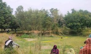 परालले छोपेको अवस्थामा महिलाको शव