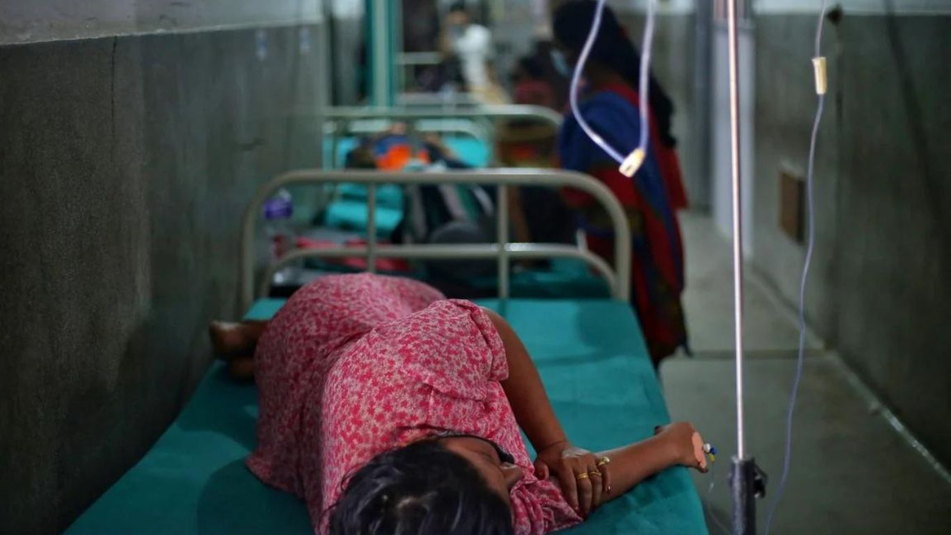 डेंगु सङ्क्रमितको सङ्ख्या ४६ हजार , २० जनाको मृत्यु