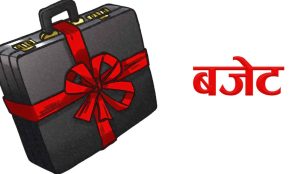मधेशका ३ स्थानीय तहले सकेनन् बजेट ल्याउन