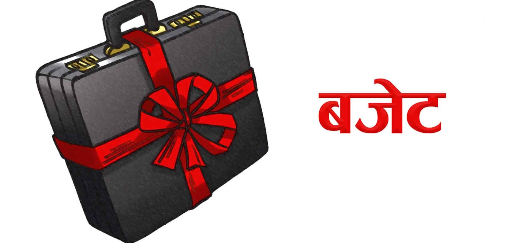 मधेशका ३ स्थानीय तहले सकेनन् बजेट ल्याउन