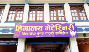 पाँचखालमा हिमालय भेटेरीनरी क्लिनिकको सेवाकेन्द्र सुरु