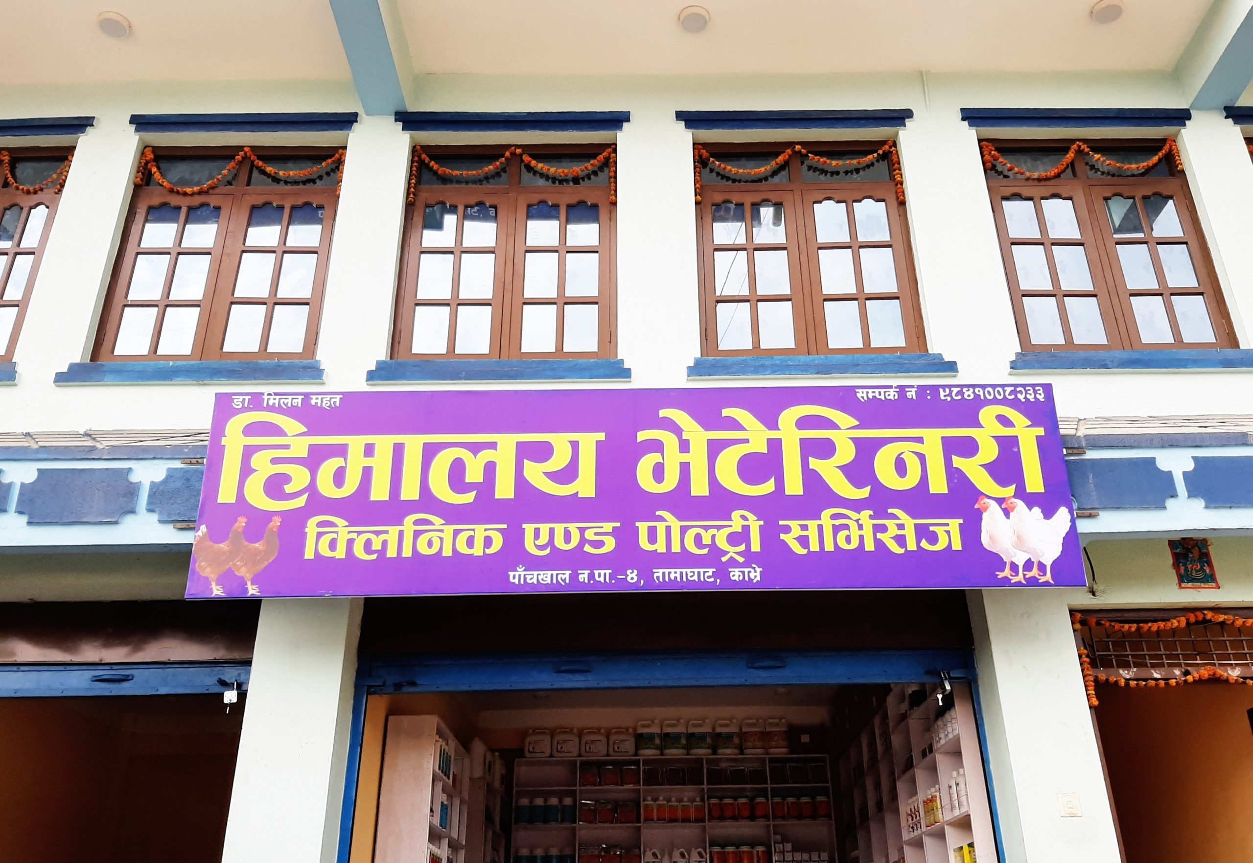 पाँचखालमा हिमालय भेटेरीनरी क्लिनिकको सेवाकेन्द्र सुरु
