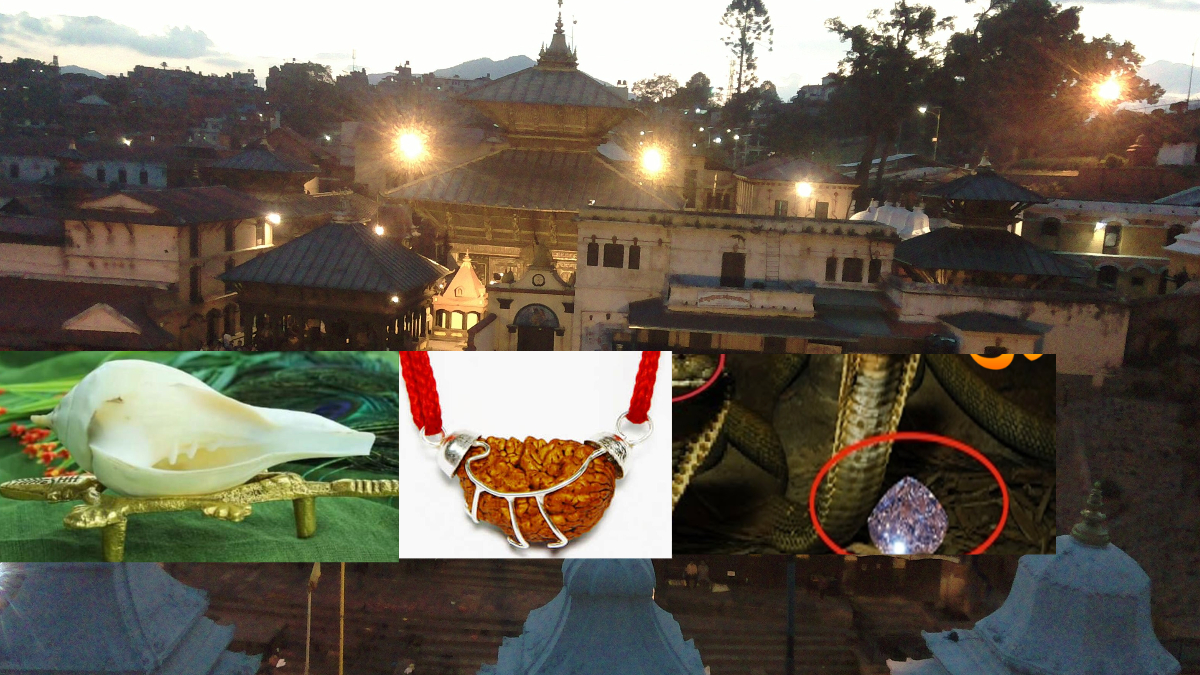 पशुपतिमा बहुमूल्य नागमणि, एक मुखे रुद्राक्ष र दाहिने शङ्ख देखाइने