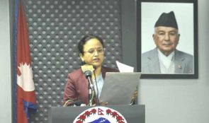 मन्त्रीको गाडी जलाइनु अराजकता भएको टिप्पणी