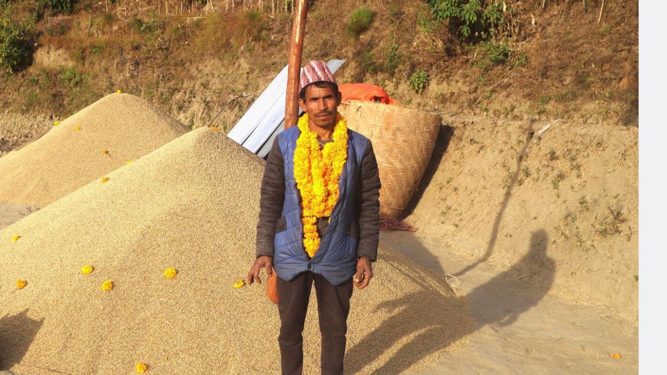१६८ मुरी धान फलाएका बम्जन दम्पती ५० हजारबाट पुरस्कृत
