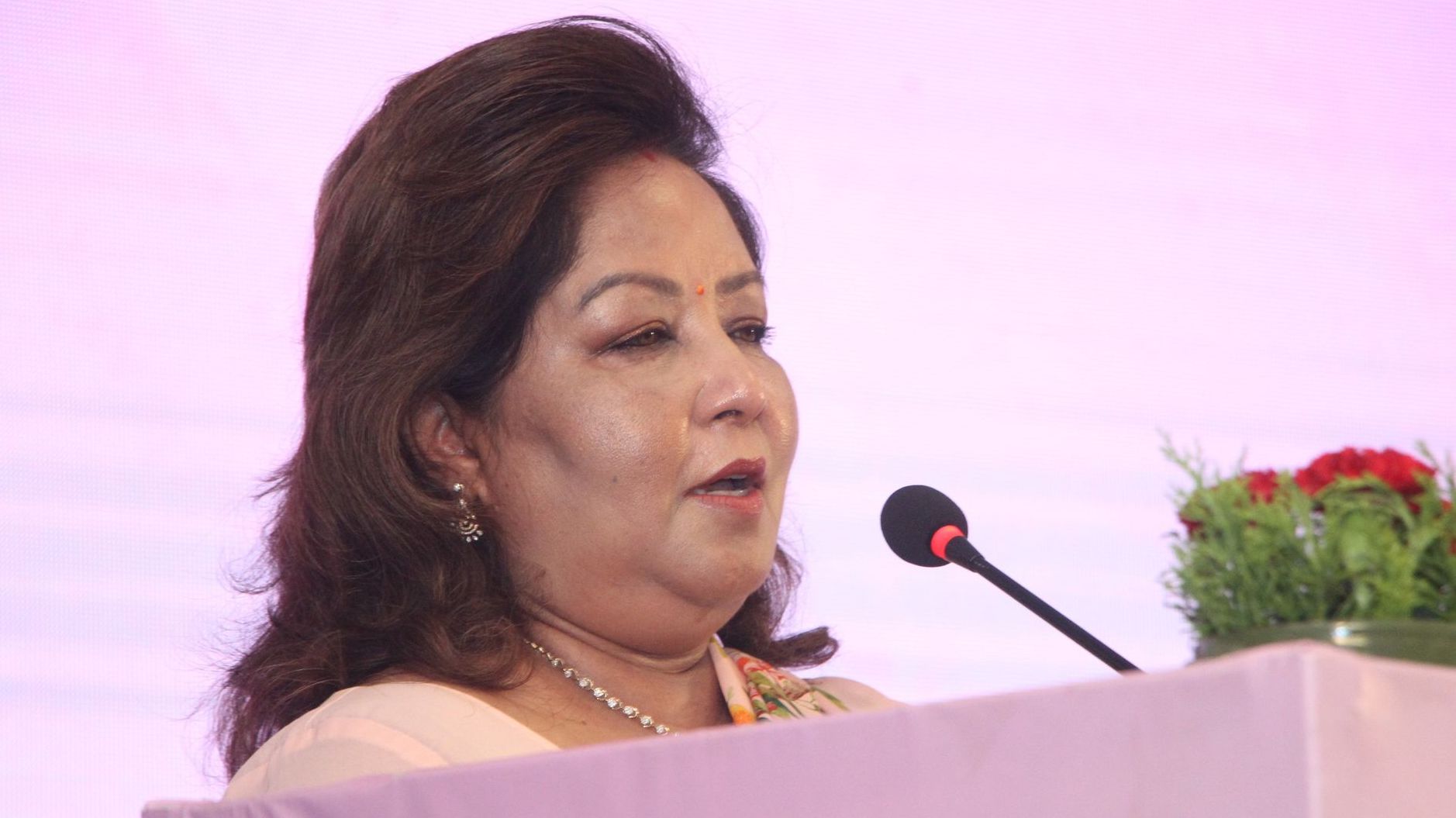 आफैँभित्र धेरै झगडा नगरौँ : राणा