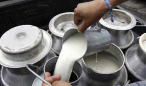 दुग्ध किसानको बक्यौता तत्काल भुक्तानीको व्यवस्था मिलाउन माग