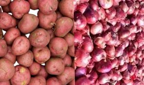 आलु-प्याजको बिक्रीमा हड्ताल  