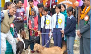 बाख्राको पाठी विद्यार्थीलाई छात्रवृत्ति