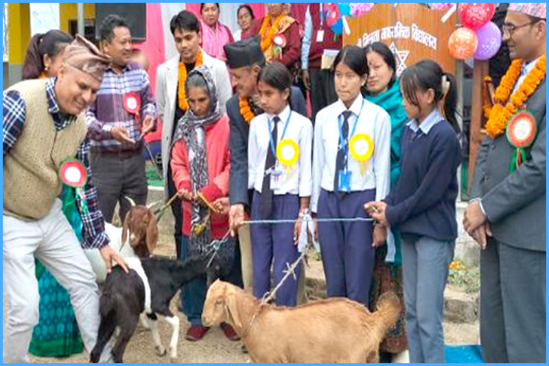 बाख्राको पाठी विद्यार्थीलाई छात्रवृत्ति