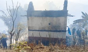 वनमा लागेको डढेलोले घर जल्यो