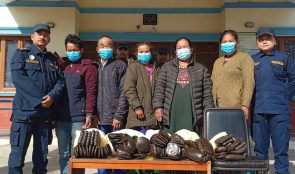 साढे २४ किलो चरेससहित पाँच जना पक्राउ