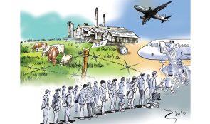 रुसमा जाने कामदारलाई श्रम स्वीकृति खुला,  इजरायलको कृषि क्षेत्रमा कामदार भर्ना स्थगित