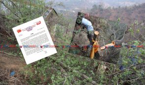 बुद्धचित मालाको बोट काटिएको जिम्मा नेपाल कम्युनिस्ट पार्टी माओबादीले लियो