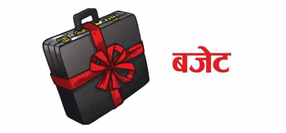 आज बजेट सार्वजनिक हुँदै