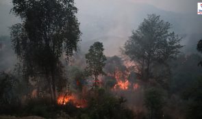 काभ्रेमा वनमा आगो लगाउने ५ जना पक्राउ
