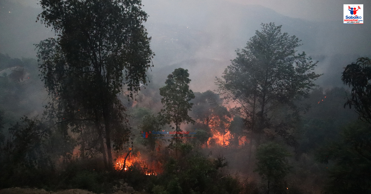 काभ्रेमा वनमा आगो लगाउने ५ जना पक्राउ
