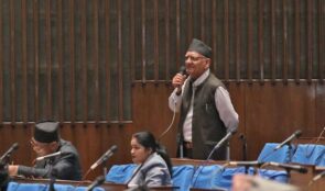 बजेटमाथिको छलफल वाक्क लागेर निदाएछु : चित्रबहादुर केसी