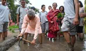 राष्ट्रपतिले रोपे शीतल निवासमा धान