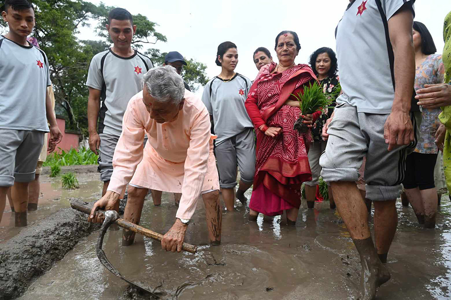 राष्ट्रपतिले रोपे शीतल निवासमा धान
