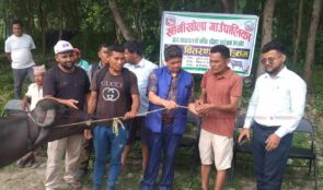 काभ्रेको खानिखोलामा ५०% अनुदानमा भैँसी वितरण