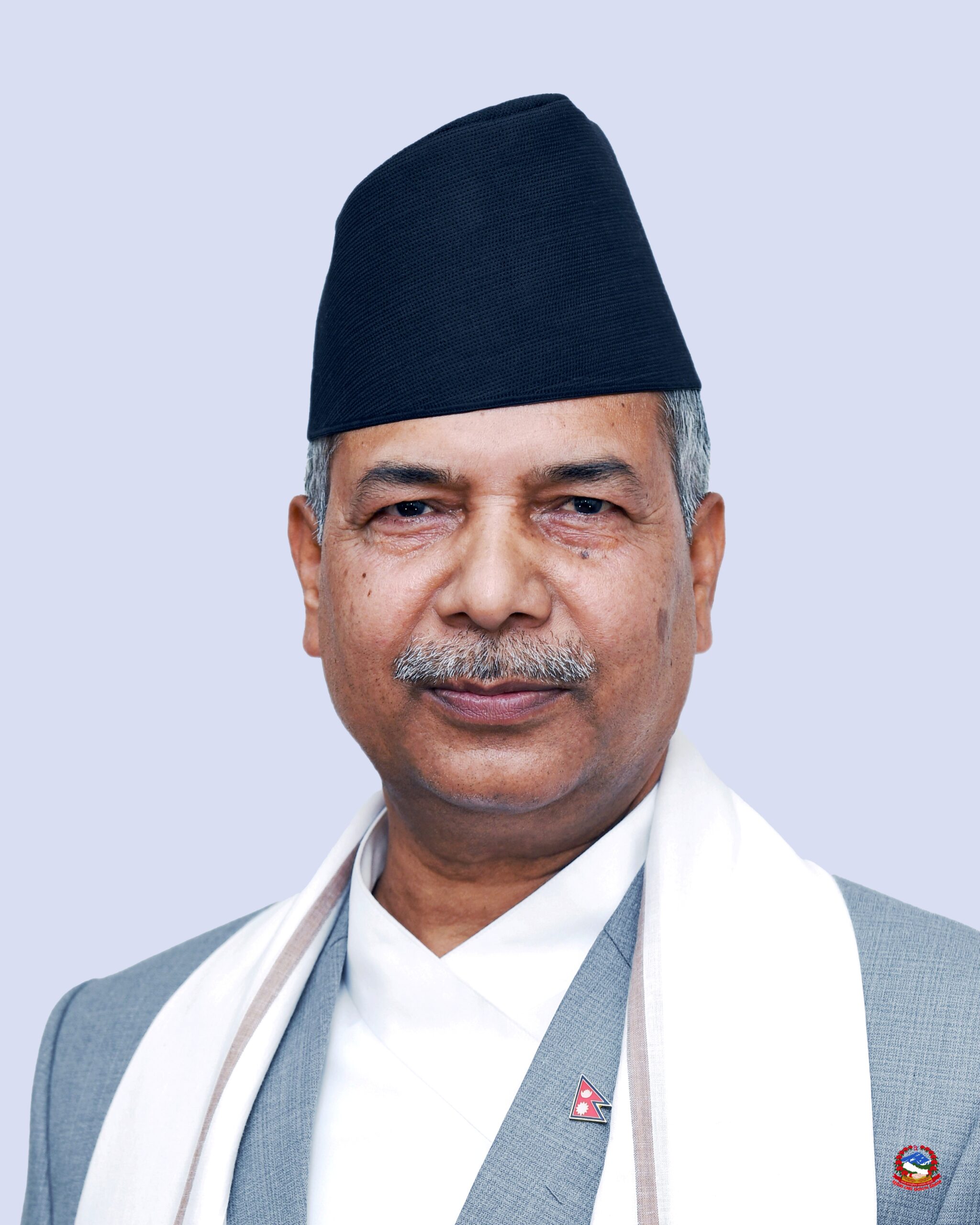 राष्ट्रपतिको जिम्मेवारी उपराष्ट्रपतिलाई