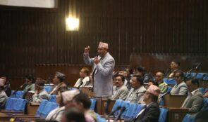 ट्राफिक नियम उल्लंघन गर्नेलाई स्वयमसेवक बनाउने कार्यको संसदमा आलोचना