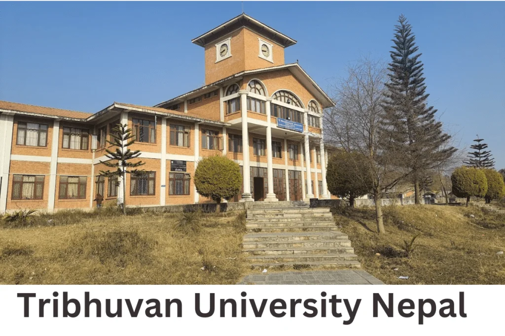 राजनीतिक दलको सदस्यता लिएकाले त्रिविको उपकूलपतिका लागि आवेदन दिन नपाउने