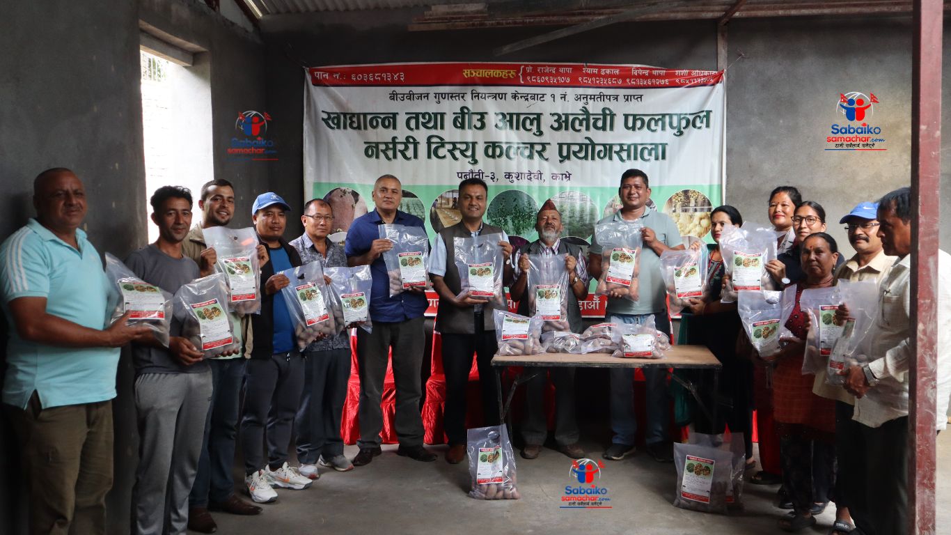 काभ्रेमा आलु ब्रान्डिङ प्याकिङ सहित बजारीकरण सुरु , पहिचान सहितको चिनारी हुने आसामा किसान