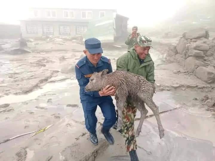 थामेको उद्दारमा खराब मौसम बाधा, क्षतिको विवरण थपिँदै