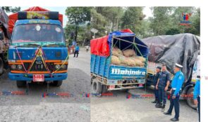 भन्सार अनुमति पत्र नभएको ८७ बोरा प्याज पक्राउ