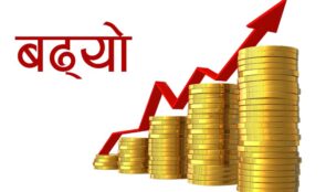 सुनको भाउ बढ्यो, कतिमा भइरहेको छ कारोबार ?